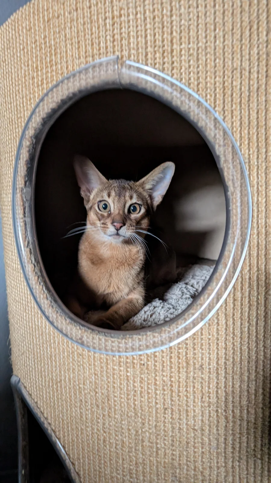 A cosy retreat.
